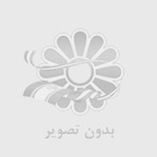 خريد ذرت روس